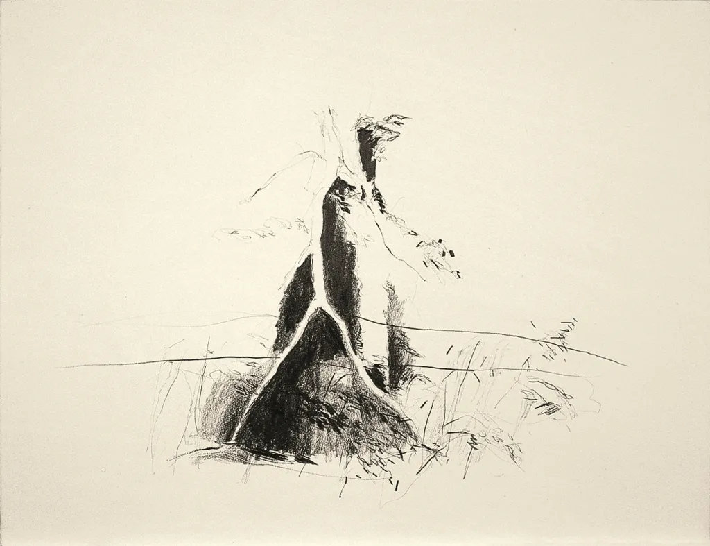 1992