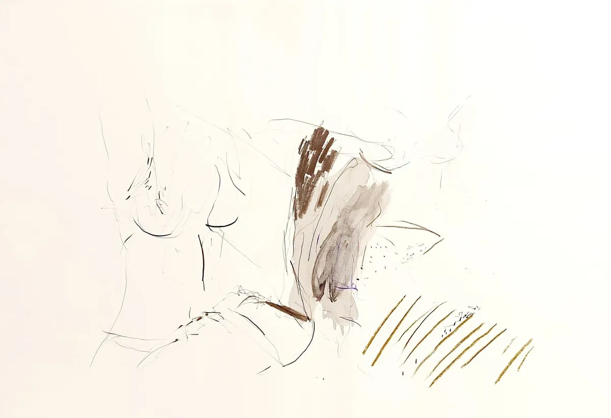 Dessins colorés — Denis Godefroy