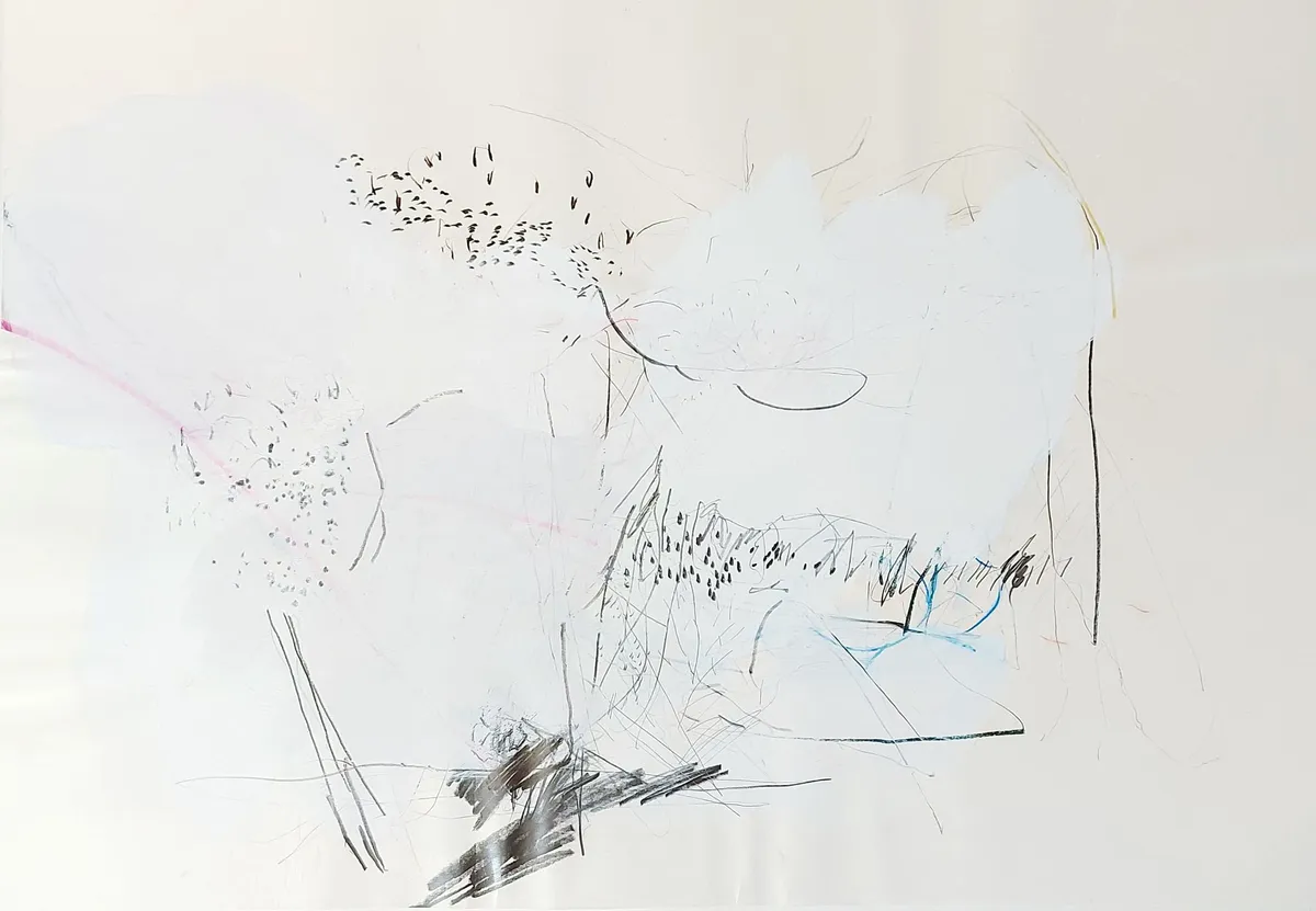 Dessins colorés — Denis Godefroy